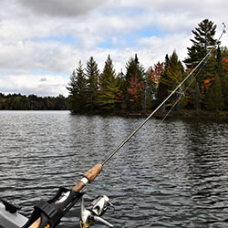 Fishing