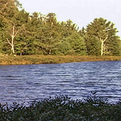 Bewabic State Park