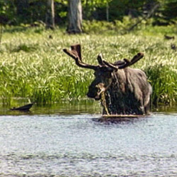 Van Riper State Park