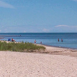 Harrisville State Park