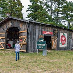 Centennial Cranberry Farm