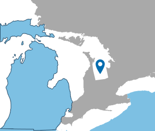 GG8021 Map