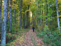 Indian Lake Pathway Gallery