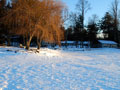 ManWin2011_03