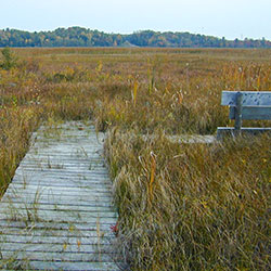 Schoolcraft Environmental Lab