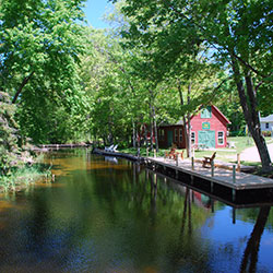 Curtis MI
