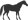 Horse Riding